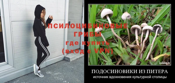 спайс Беломорск