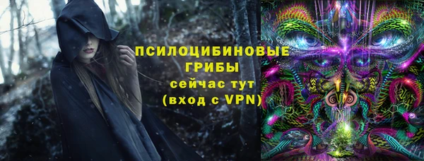 мяу мяу мука Белокуриха