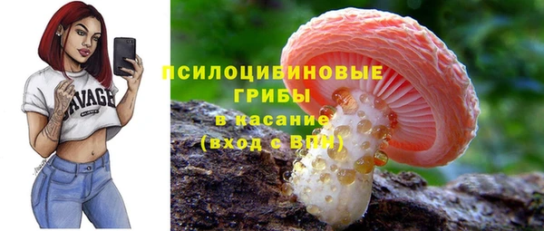 мяу мяу мука Белокуриха