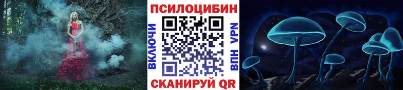 hydra как зайти  Верещагино  Псилоцибиновые грибы GOLDEN TEACHER  где можно купить  